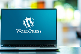 Wordpress, diseño de páginas web - Proveedores Del Estado
